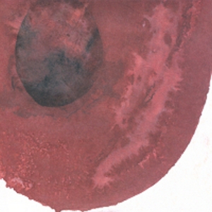 IPB Image