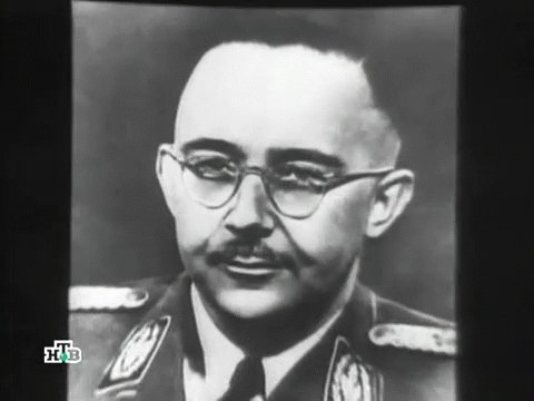 IPB Image