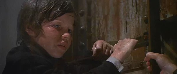 IPB Image