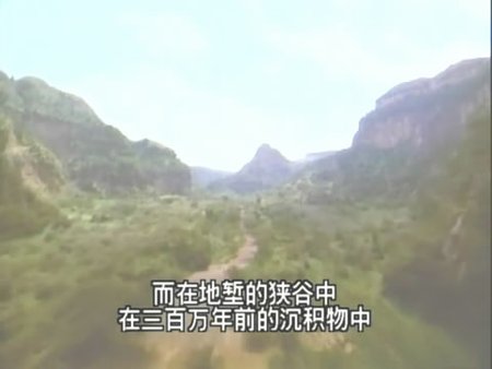 snapshot20070611230118.jpg